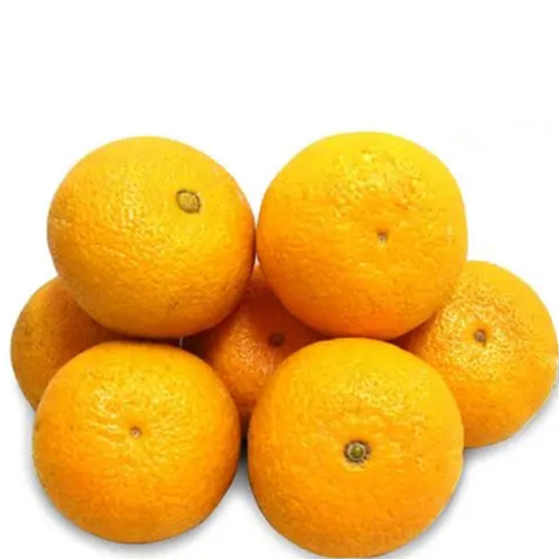 当季水果福建甜桔柚皮薄肉厚美味多汁孕妇时令甜心柚子一件代发