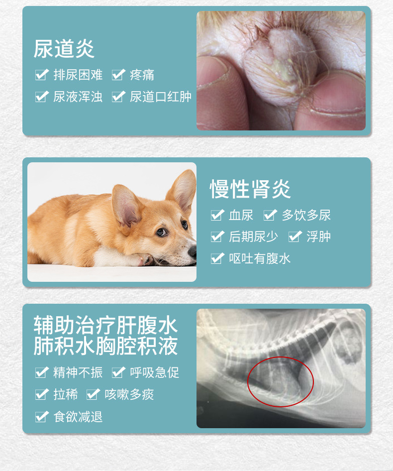 利尿通狗狗尿路感染泌尿系统尿道炎猫咪尿血结石消炎呋塞米片宠物