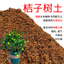 桔子树土盆栽种植桔子树土酸性土壤沙性土花泥通用营养土花肥