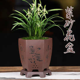 紫砂兰花专用盆陶瓷精品六方透气绿萝室内家用盆景大花盆
