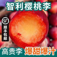 【高贵李】智利进口樱桃李爆甜红心李子孕妇新鲜水果1/2/4斤3J