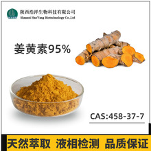 姜黄提取物原料 浩洋生物 萃取 姜黄素95% 98% 食品原料 现货批发