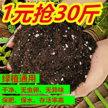 营养土种植土肥土泥炭土养花土种菜土壤多肉土有机大包通用型包邮