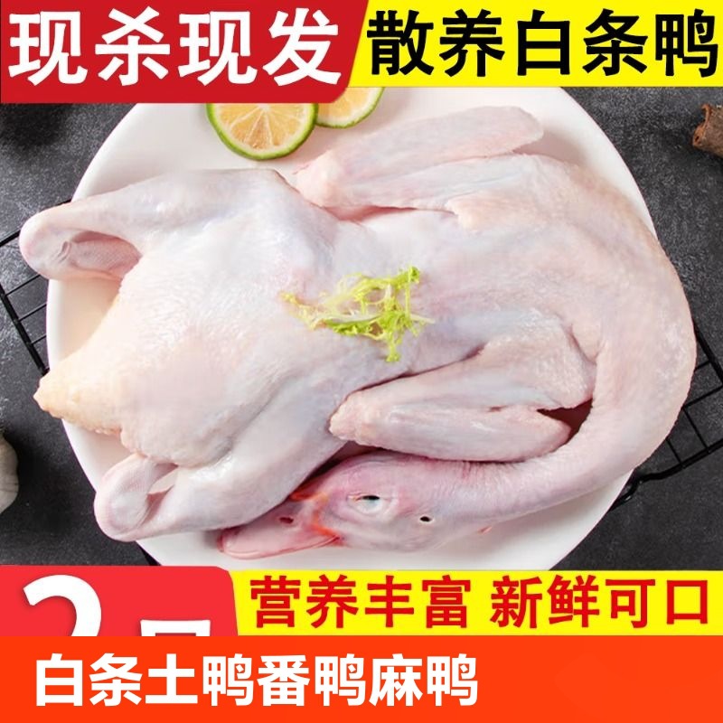 新鲜白条鸭农机散养冷冻整只鸭食品生鲜食材鲜鸭子肉整鸭2只包邮x