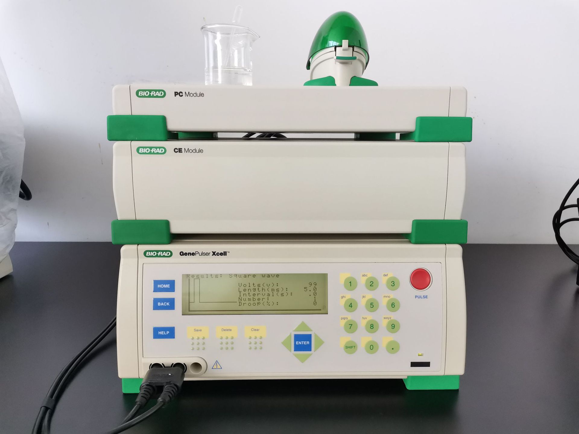 bio-rad伯乐gene pulser xcell电穿孔仪