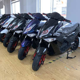 骠骑大功率定制版电动车支持出口厂家直销小龟王电摩成人跑车街车