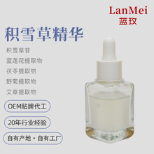 定制积雪草精华OEM代加工液体精华厂家自有基地痘痘蓝莲花提取物