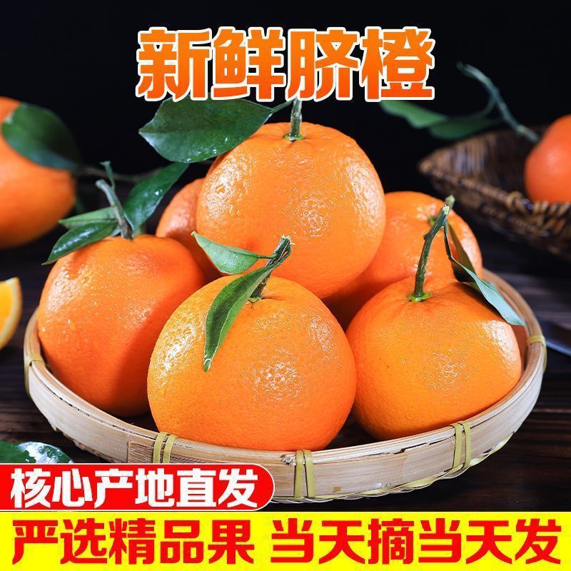 橙子5斤装当季新鲜湖北秭归脐橙新鲜水果甜大果批发价整箱-阿里巴巴