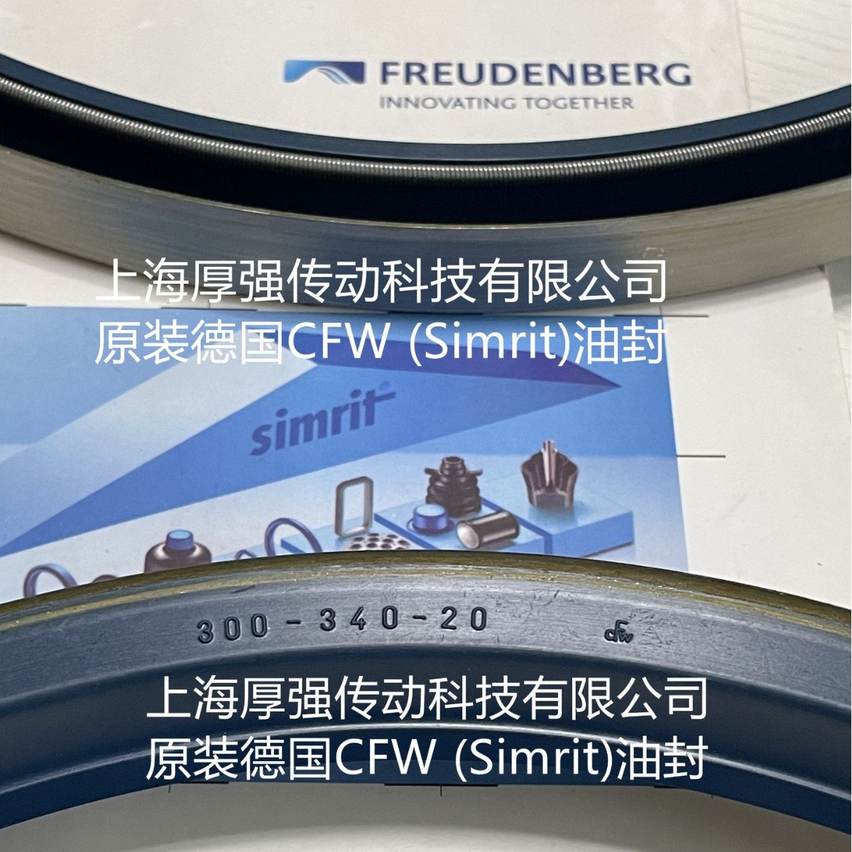 德国simrit/freudenberg科德宝恩福外铁壳油封 cfw b1 300-340-20