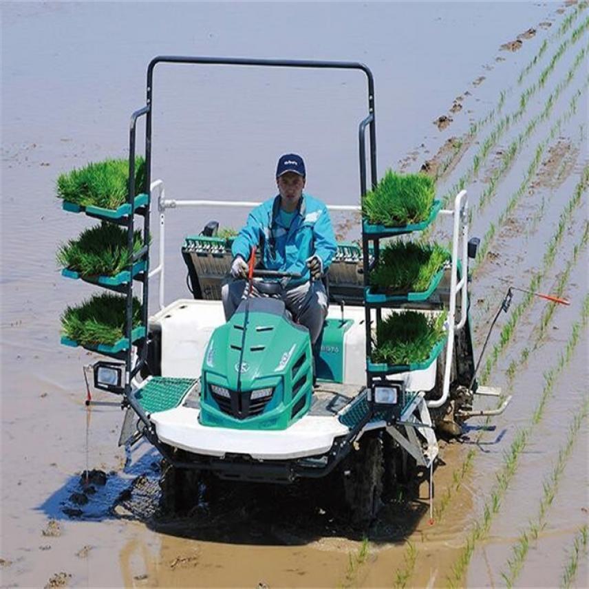 手摇水稻手扶式小型插秧机 手扶四行秧苗新款插禾机