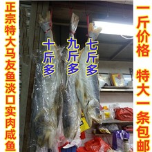 广东特产海鲜干货特大规格大马友咸鱼干马友鱼肉质紧实一斤500g价