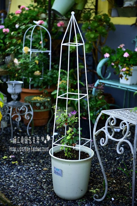 铁线莲方形花架 花支架 球兰爬藤架 园艺支架