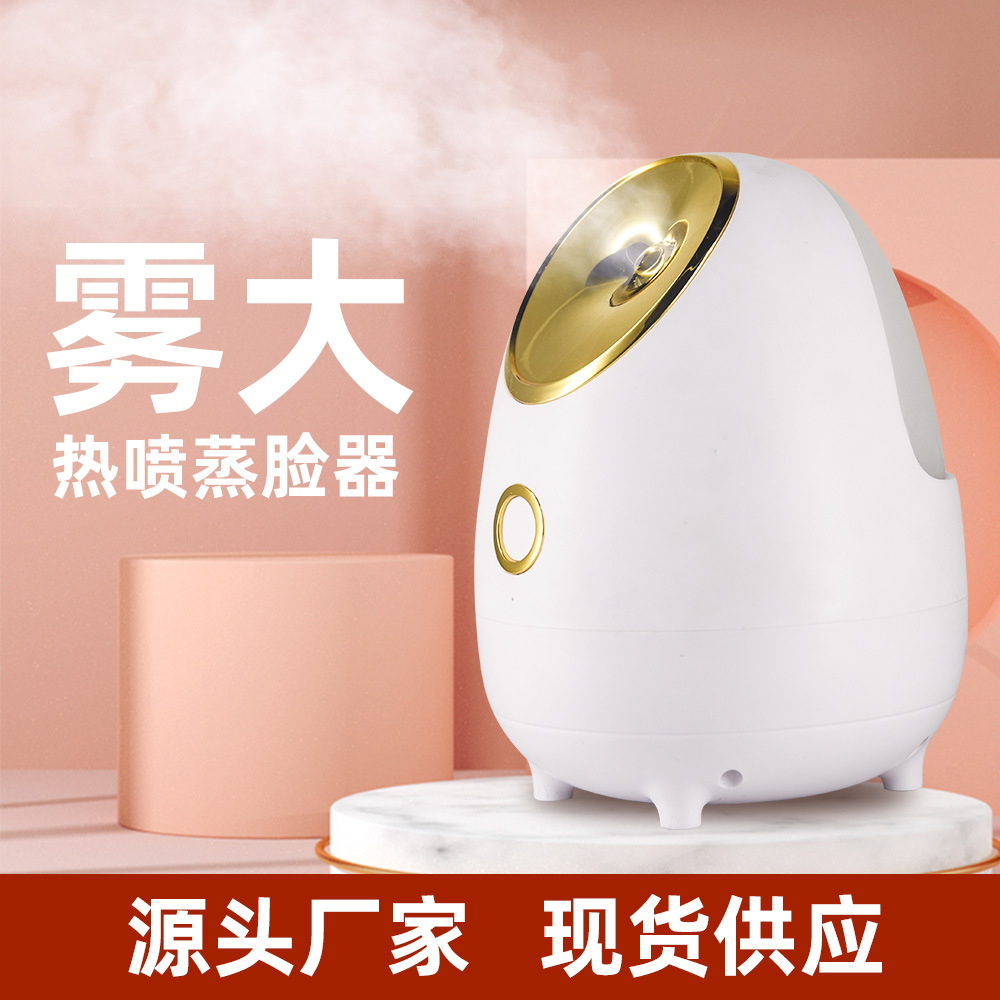 Spray Facial Steamer Steam Hydrating Small Household Facial Fumigation Moisturizing Moisturizing Beauty Instrument Ionic Facial Steamer Facial Vaporizer