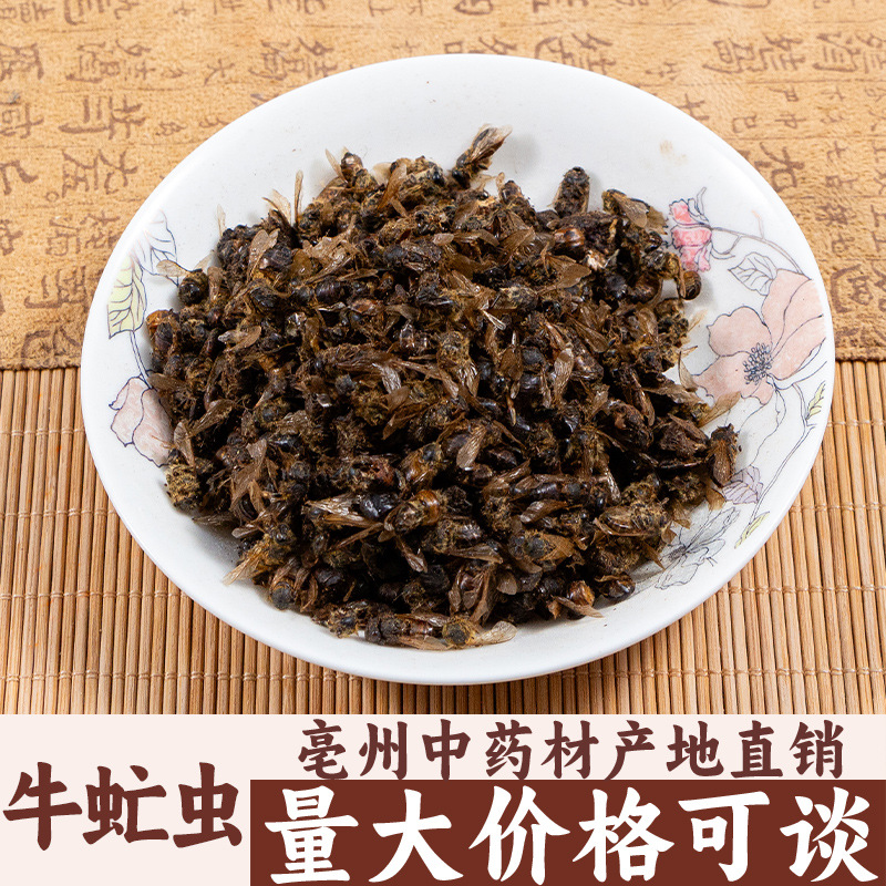 牛氓虫 大牛苍蝇 牛虻 牛牤虫 牛虫亳州中药材批发中草药药食同源