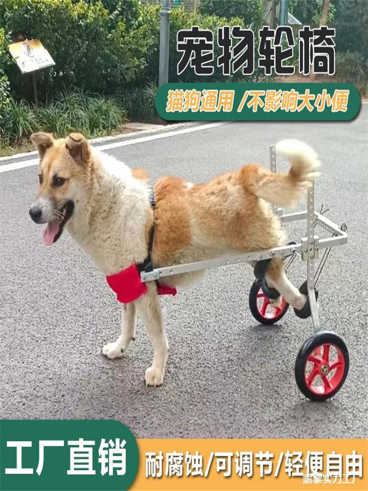 后肢狗狗小型狗残疾辅助后腿支架代步车泰瘫痪宠物猫大型犬轮椅代