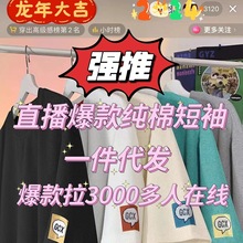 定制纯棉短袖 直播主推货源爆款链接一件代发220g重磅T恤宽松半袖