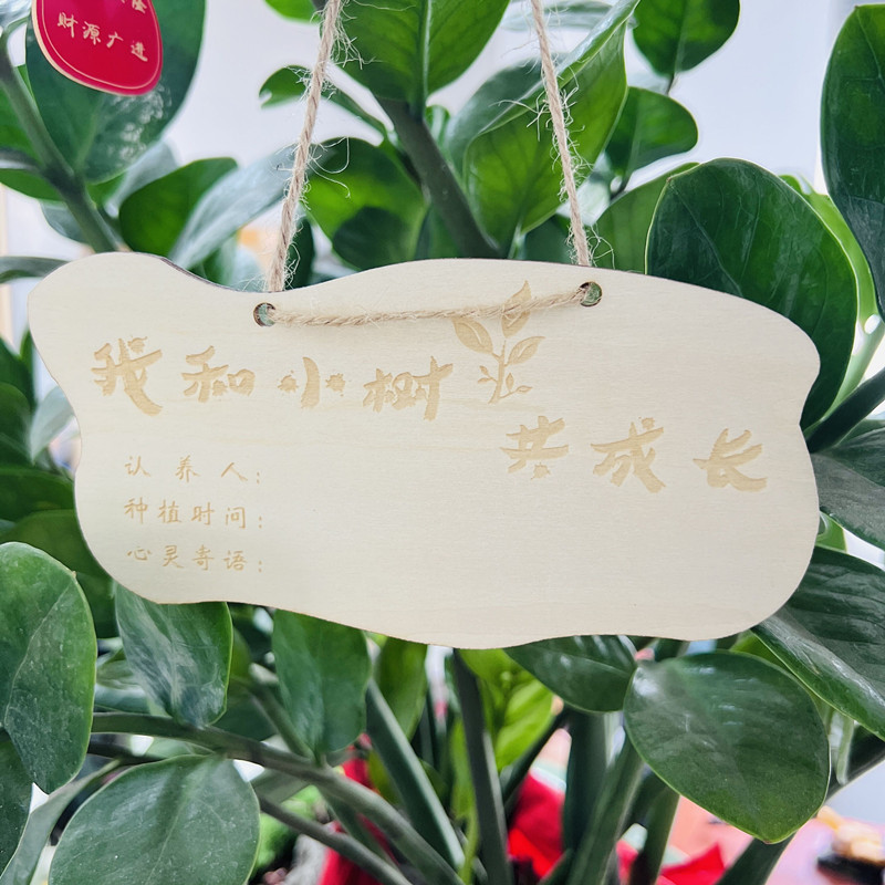 10片木质挂牌 学校植树节吊牌 树木认养牌 植物标签牌 名字卡