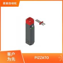 VF CBSM12DS07  PIZZATO 意大利 信号开关 系列直供