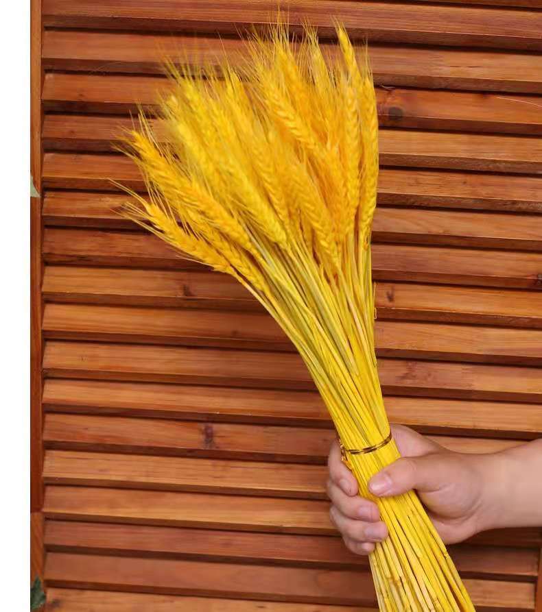 大麦干花装饰花篮客厅麦穗客厅花束开业田园天然婚庆酒店拍摄道具