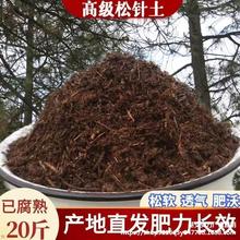 松针腐殖土酸性肥料杜鹃花山茶栀子花君子兰蓝莓等花卉通用营养土