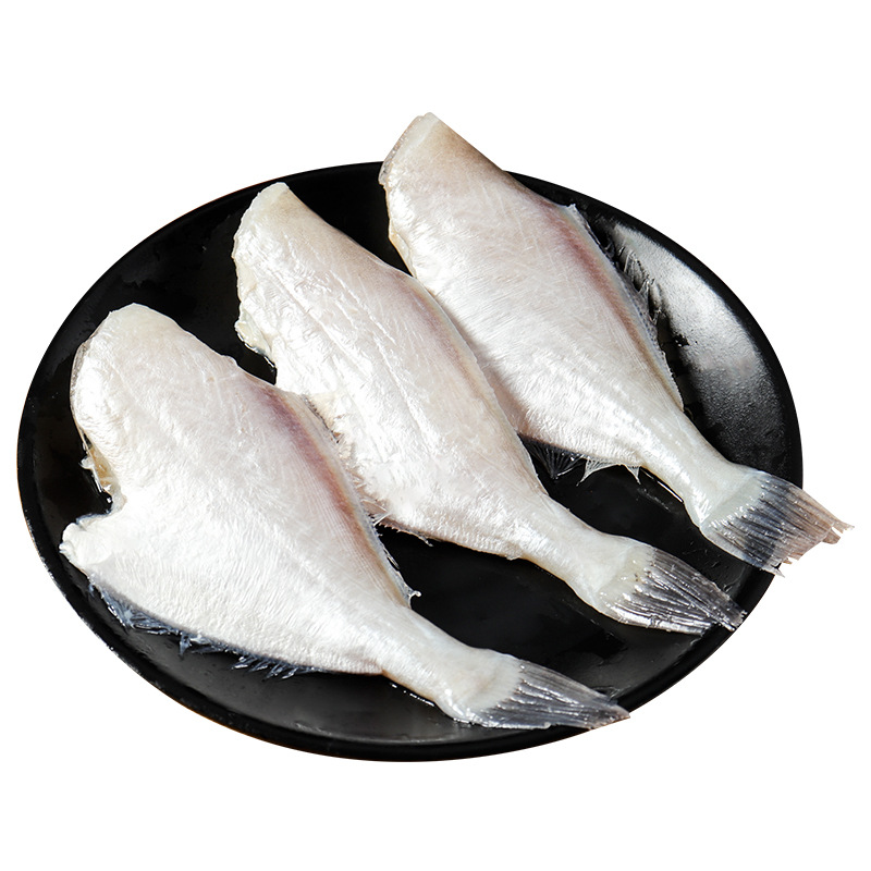 冷冻鲜美耗儿鱼活冻马面鱼 比你想的更新鲜 重庆酒店餐厅