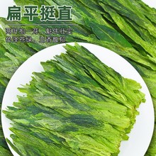 绿茶2024新茶叶太平布尖猴魁茶50g 试喝茶 雨前1915袋装散装