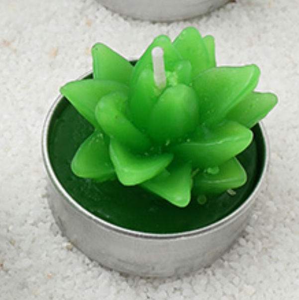 Mini Plant Potted Succulent Candle Tealight Simulation Plant Shape Candle Home Ornaments Factory Direct Sales Wholesale