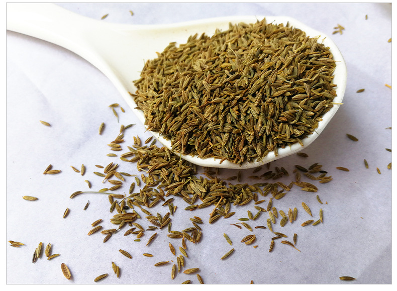 孜然烧烤料 烧烤调料野炊孜然粉现货批发孜然粒烧烤火锅底料