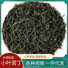 批发苦丁茶 小叶苦丁嫩芽青山绿水茶 一件代发新货500g小叶苦丁茶