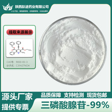 三磷酸腺苷 高含量99% ATP腺嘌呤核苷三磷酸 9000-83-3腺苷三磷酸