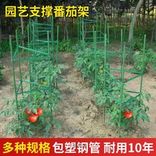 葡萄架杆子爬藤架支架室内种菜架爬藤植物花架葡萄架庭院爬藤架