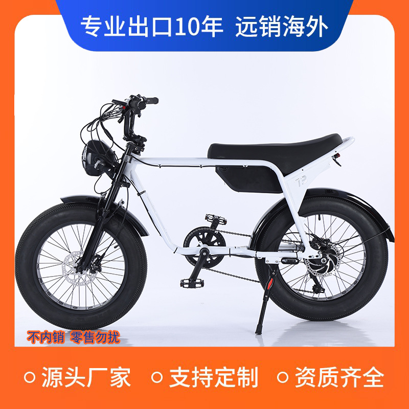 20寸单人仿摩托款电动自行车公路越野高碳钢车架标准型单人电动车