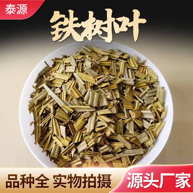 中药材批发野生铁树叶500克g 正品新鲜铁树叶 新鲜干品 药用-阿里巴巴