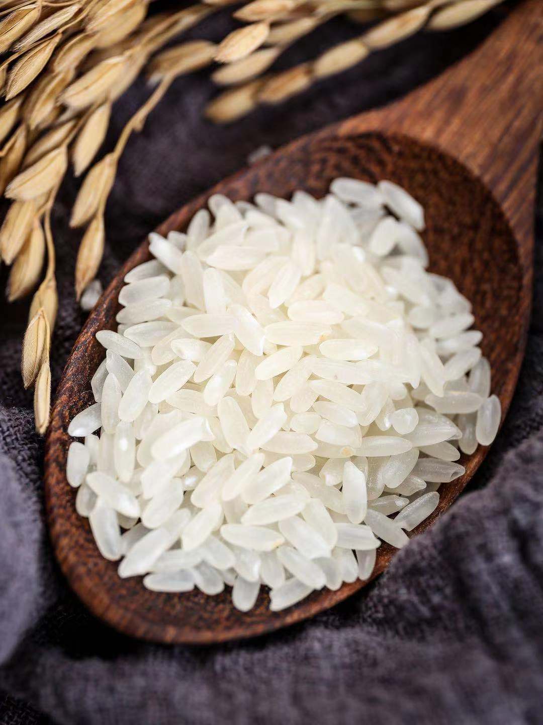 现磨新米东北富硒长粒香米10kg黑龙江大米厂家直批