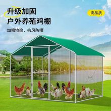 户外鸡棚鸡笼养鸡鸽笼家禽大型挡风防雨孔雀遮雨鸡舍搭建家用养殖