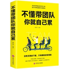 不懂带团队你就自己累 做人做事细节走向成功心灵鸡汤企业管理