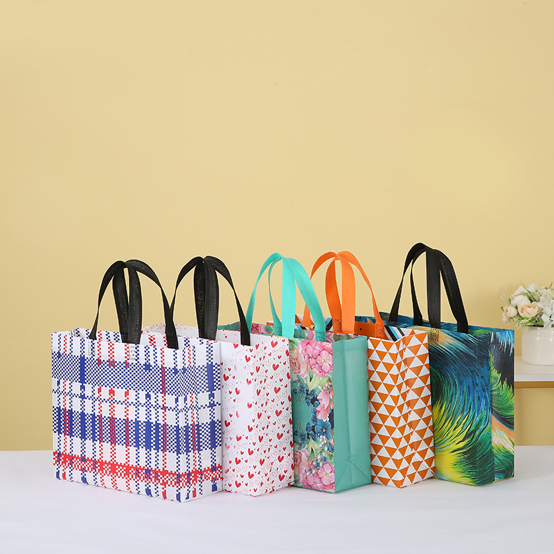 Factory Printing Portable Non-Woven Shopping Bag Simple Fashion All-Match Pattern Buggy Bag Bag Cross-Border Wholesale