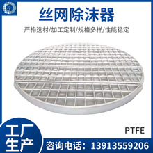 丝网除沫器 PTFE