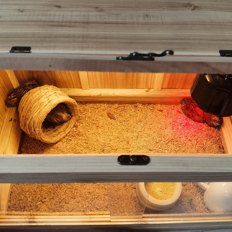 芦丁鸡发酵床分解垫料除臭菌种养殖鸭鹅鸟兔子仓鼠宠物无臭独立站