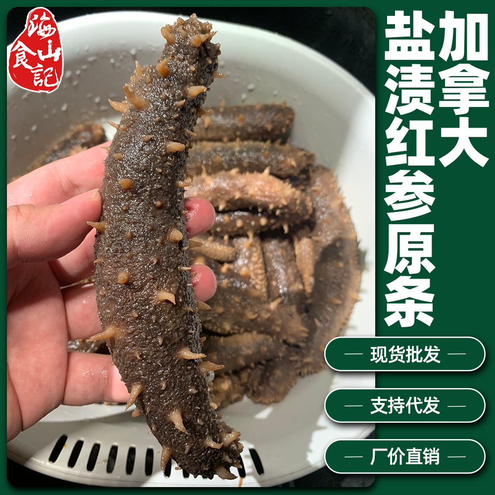 加拿大盐渍红参原条500g深海域天然野红刺参筋肥美500g克含盐批发