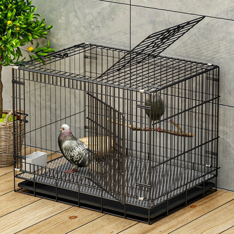 鸽子笼双层家用鸟笼子大号信鸽笼鸽舍鸽子喜鹊专用加密隔断配对笼