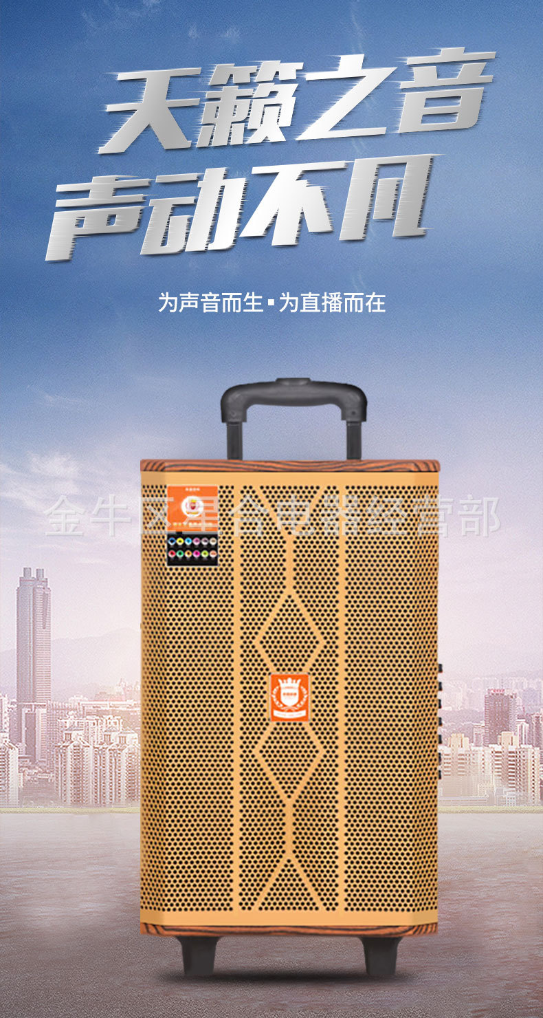 影皇蓝牙插卡便携直播声卡拉杆广场舞音响12寸户外宣传叫卖播报