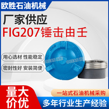 FIG207锤击由壬高压锤击焊接由壬固控系统泥浆罐油壬 Hammer Unio