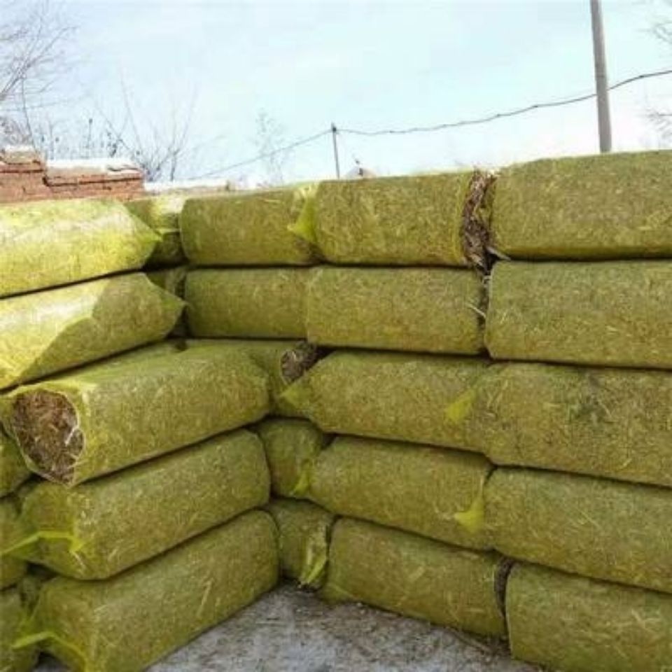 网袋无绳玉米秸秆袋子网袋干草加工网袋网袋白菜袋编织袋