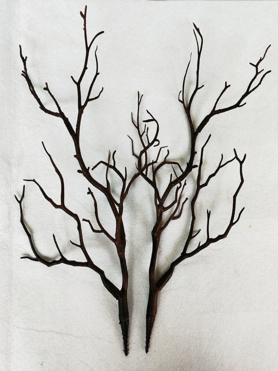 zoty中欧厦门万皮思科创服务有限公司成立注册资本1000万人民币