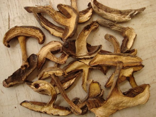 云南野生黑牛肝菌,黑牛肝中味鲜干品,精选级黑牛肝菌小黑桃