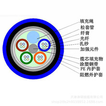 【现货供应】MGTSV-12B阻燃防爆矿用光缆