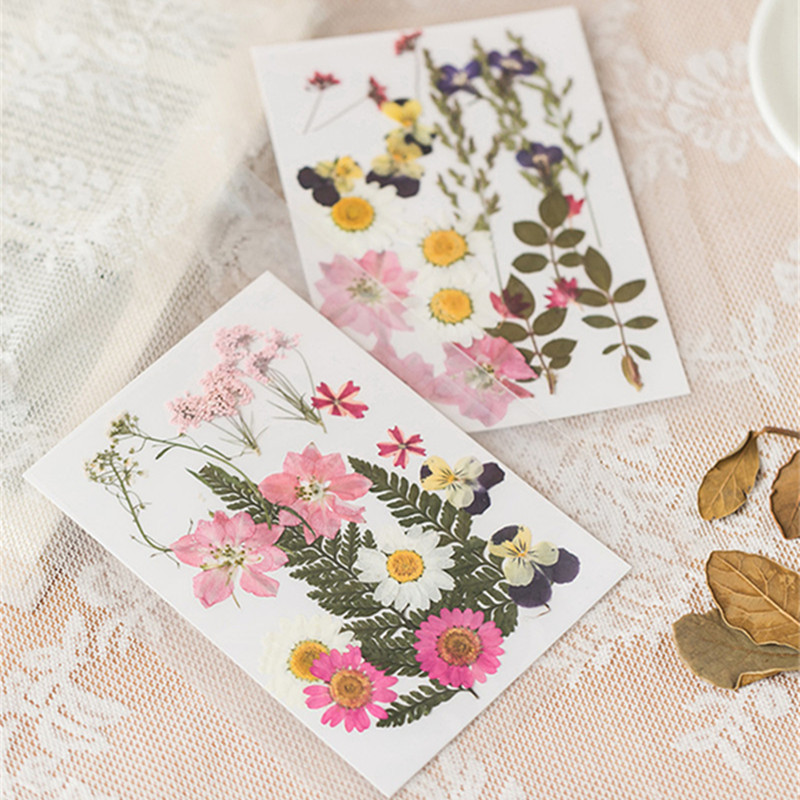 Exclusive for Cross-Border Dried Flower Embossing Epoxy Decals Painting Plant Specimen Handmade DIY Material Package Embossing in Stock Wholesale