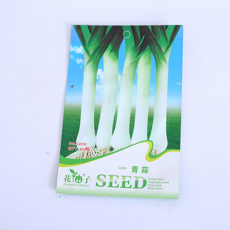 青蒜种子四季播阳台种菜家庭花旗韭葱青蒜种籽可结籽