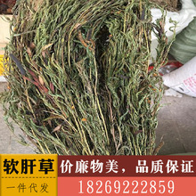 云南中药材软肝草 铁甲草 益肝草无硫新货正品包邮500克_阿里巴巴找货